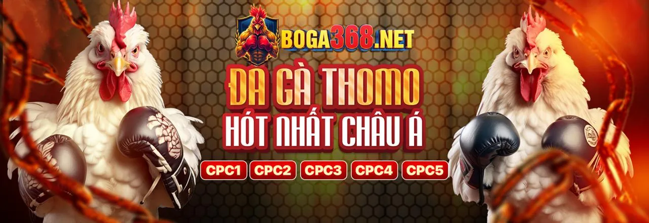 Đá Gà Club789 - Sân chơi cá cược trực tuyến đỉnh cao