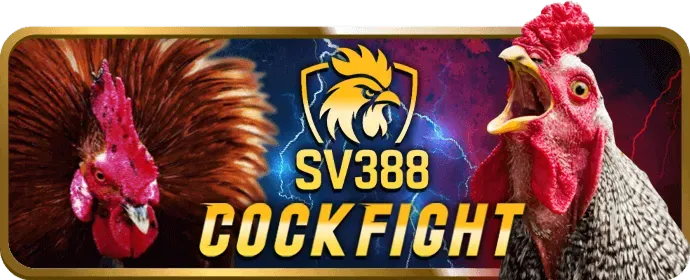 Người dùng Club789 quản lý quyền riêng tư của họ
